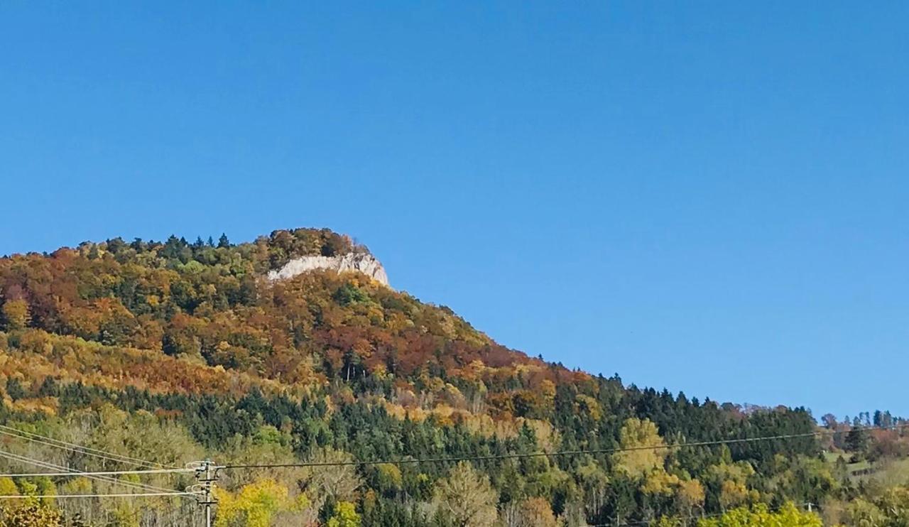 Ferienappartement Albstadt Buitenkant foto